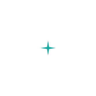 Icon of compass